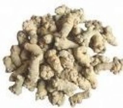 Notoginseng Root Extract 10:1,4:1